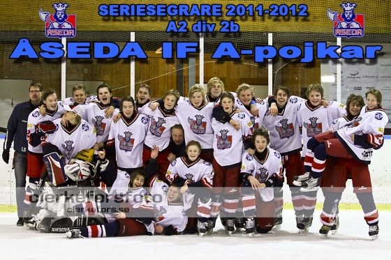 2012-03-04, Ishockey, Sölvesborgs IK - Åseda IF: 3-9