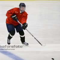 2012-08-06, Ishockey,  Halmstad Hammers - :