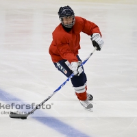 2012-08-06, Ishockey,  Halmstad Hammers - :