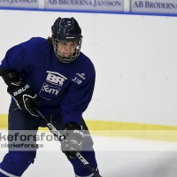 2012-08-07, Ishockey,  Halmstad Hammers - :