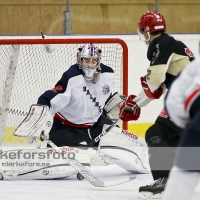 2012-12-15, Ishockey,  Grästorp IK - Halmstad Hammers: 3 - 6