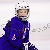 Ishockey C2 div 3 C SmŒland, Virserums SGF - Tingsryd AIF