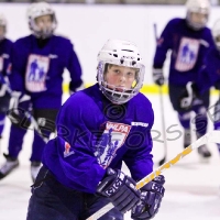 Ishockey C2 div 3 C SmŒland, Virserums SGF - Tingsryd AIF