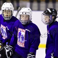 Ishockey C2 div 3 C SmŒland, Virserums SGF - Tingsryd AIF