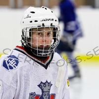 Ishockey  Seriematch A2 div 2 A 2010/2011  Eksjš HC  seda IF