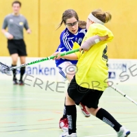 Innebandy Flickor 12-13, Virserum SGF - Sandbäckshult