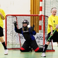Innebandy Flickor 12-13, Virserum SGF - Sandbäckshult