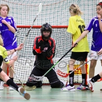 Innebandy Flickor 12-13, Virserum SGF - Sandbäckshult