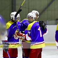 2011-10-30, Ishockey, Div III,  Virserum SGF - HKL Make Belives: