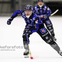 Bandy Elitserien, Vetlanda BK - IK Sirius: 6-5