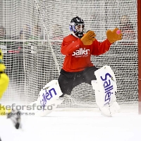 Bandy Elitserien, Vetlanda BK - IK Sirius: 6-5