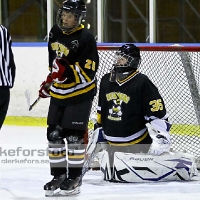 2011-11-20, Ishockey,  Sölvesborg IK - Åseda IF: