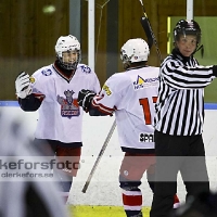 2011-11-20, Ishockey,  Sölvesborg IK - Åseda IF: