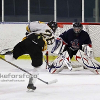 2011-11-26, Ishockey,  Åseda IF - Vimmerby Hockey: