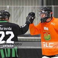 2011-12-07 Elitserien, Vetlanda BK - GAIS: 4-6