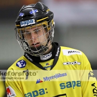 11-12-30 Elitserien, Vetlanda BK-Västerås SK: 3-8