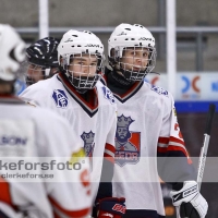 2012-01-06, Ishockey, Karlskrona HK - Åseda IF: 7-6