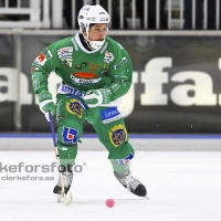 Bandy Elitserien, Vetlanda BK - Hammarby IF: 2 - 5