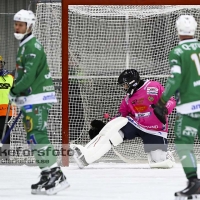 Bandy Elitserien, Vetlanda BK - Hammarby IF: 2 - 5