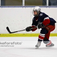 2012-01-15, Ishockey,  Åseda IF - Sölvesborg IK: