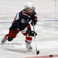 2012-01-15, Ishockey,  Åseda IF - Sölvesborg IK: