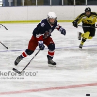 2012-01-15, Ishockey,  Åseda IF - Sölvesborg IK: