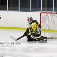 2012-01-15, Ishockey,  Åseda IF - Sölvesborg IK: