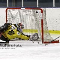 2012-01-15, Ishockey,  Åseda IF - Sölvesborg IK: