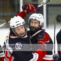 2012-01-15, Ishockey,  Åseda IF - Sölvesborg IK: