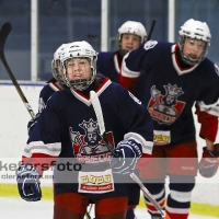 2012-01-15, Ishockey,  Åseda IF - Sölvesborg IK: