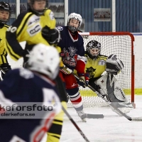 2012-01-15, Ishockey,  Åseda IF - Sölvesborg IK: