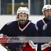 2012-01-15, Ishockey, Åseda IF - Sölvesborg IK: