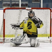 2012-01-15, Ishockey,  Åseda IF - Sölvesborg IK: