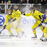 2012-01-20 Bandy Elitserien, Vetlanda BK IFK Vänersborg: 2-1