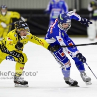 2012-01-20 Bandy Elitserien, Vetlanda BK IFK Vänersborg: 2-1