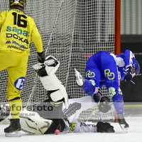 2012-01-20 Bandy Elitserien, Vetlanda BK IFK Vänersborg: 2-1