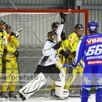 2012-01-20 Bandy Elitserien, Vetlanda BK IFK Vänersborg: 2-1