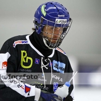 2012-01-20 Bandy Elitserien, Vetlanda BK IFK Vänersborg: 2-1