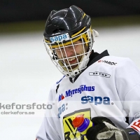 2012-01-20 Bandy Elitserien, Vetlanda BK IFK Vänersborg: 2-1