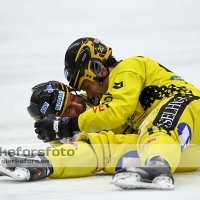 2012-01-20 Bandy Elitserien, Vetlanda BK IFK Vänersborg: 2-1