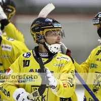 2012-01-20 Bandy Elitserien, Vetlanda BK IFK Vänersborg: 2-1