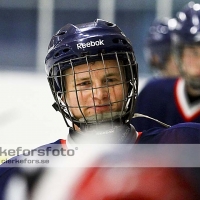 2012-01-21, Ishockey,  Åseda IF - IK Oskarshamn: