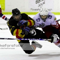 2012-03-02, Ishockey,  Alvesta SK - Åseda IF: 3-9