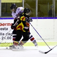 2012-03-02, Ishockey,  Alvesta SK - Åseda IF: 3-9