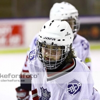 2012-03-02, Ishockey,  Alvesta SK - Åseda IF: 3-9