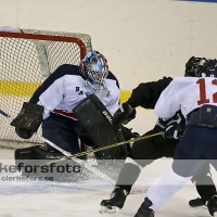 2013-03-02, Ishockey,  Pantern IK - Halmstad Hammers: