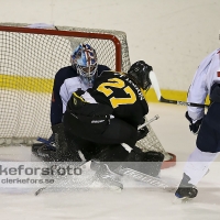 2013-03-02, Ishockey,  Pantern IK - Halmstad Hammers: