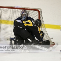 2013-03-02, Ishockey,  Pantern IK - Halmstad Hammers: