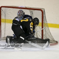 2013-03-02, Ishockey,  Pantern IK - Halmstad Hammers: