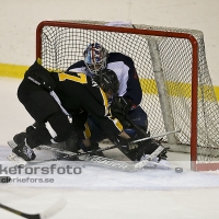 2013-03-02, Ishockey,  Pantern IK - Halmstad Hammers: